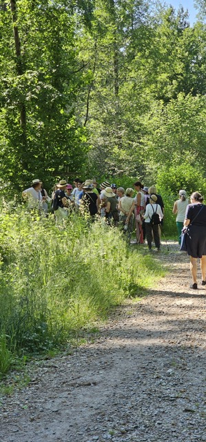 202605-Kräuterwanderung